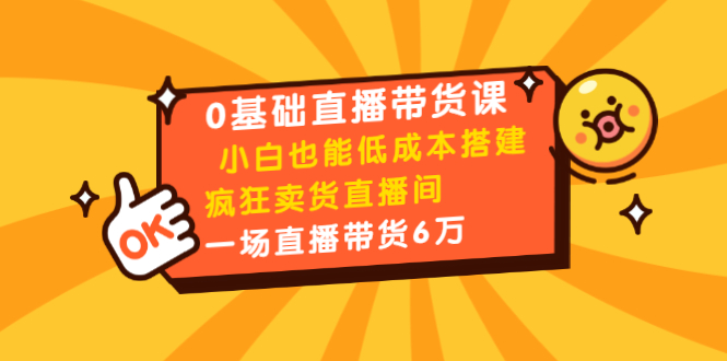 0基础直播带货课：小白也能低成本搭建疯狂卖货直播间：1场直播带货6万-天天项目库