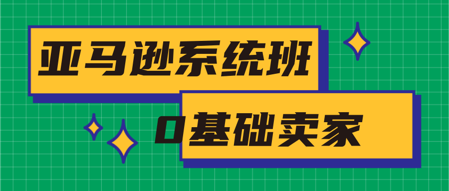 亚马逊系统班，专为0基础卖家量身打造，亚马逊运营流程与架构-天天项目库