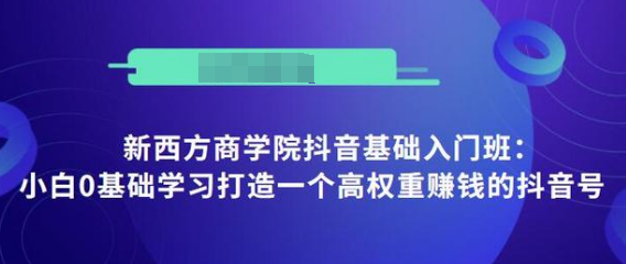 抖音基础入门班：小白0基础学习打造一个高权重赚钱的抖音号-天天项目库