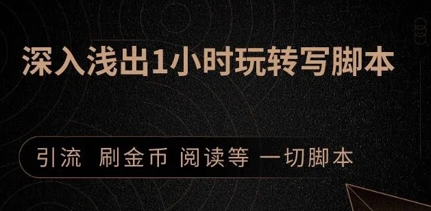 引流脚本实战课：1小时深入浅出视频实操讲解，教你0基础学会写引流脚本-天天项目库