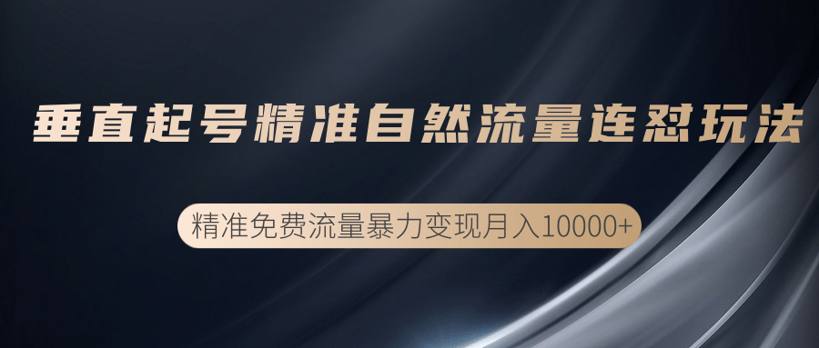 垂直起号精准自然流量连爆玩法，精准引流暴力变现月入10000+-天天项目库