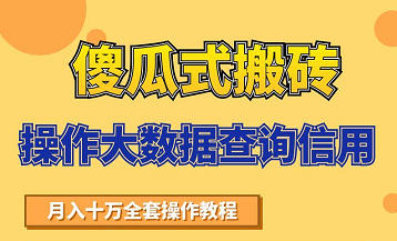 搬砖操作大数据查询信用项目赚钱教程，祝你快速月入6万-天天项目库