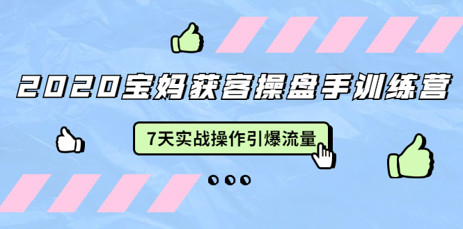 2020宝妈获客操盘手训练营：7天实战操作引爆 母婴、都市、购物宝妈流量-天天项目库