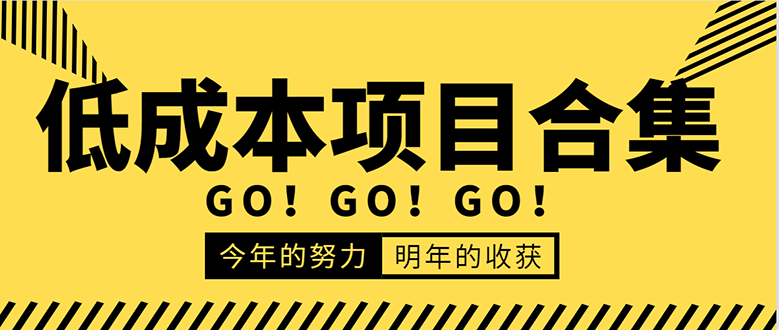 低成本零成本项目合集：赚钱快的慢的、暴利的，线上线下的，价值万元资料-天天项目库