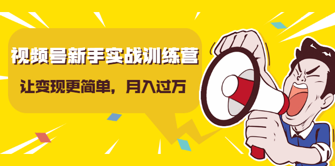 视频号新手实战训练营，让变现更简单，玩赚视频号，轻松月入过万-天天项目库