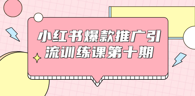 小红书爆款推广引流训练课第十期，手把手带你玩转小红书，轻松月入过万-天天项目库