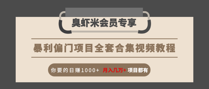 暴利偏门项目全套合集视频教程：你要的日赚1000+月入几万+项目都有-天天项目库