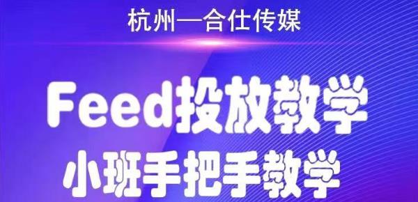 合仕传媒Feed投放教学，手把手教学，开车烧钱必须自己会-天天项目库