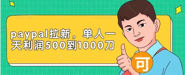 Paypal拉新赚美刀项目，单人一天利润500-1000刀【视频课程】-天天项目库