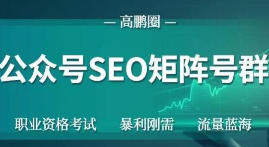 高鹏圈公众号SEO矩阵号群，实操20天纯收益25000+，普通人都能做-天天项目库