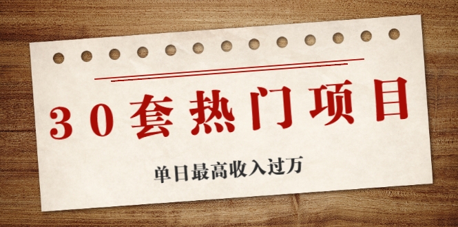 30套热门项目：单日最高收入过万 (网赚项目、朋友圈、涨粉套路、抖音、快手)等-天天项目库