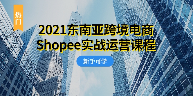 2021东南亚跨境电商Shopee实战运营课程，0基础、0经验、0投资的副业项目-天天项目库