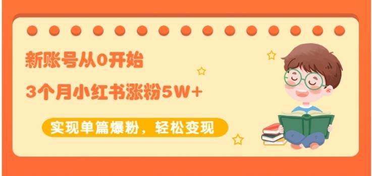 生财小红书涨粉变现：新账号从0开始3个月小红书涨粉5W+实现单篇爆粉-天天项目库