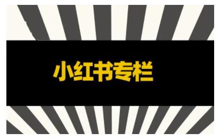 品牌医生·小红书全链营销干货，5个起盘案例，7个内容方向，n条避坑指南-天天项目库