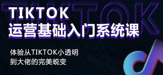 Tiktok实操进阶课程，体验从tiktok小透明到大佬的完美蜕变-天天项目库