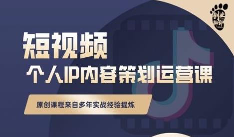 抖音短视频个人ip内容策划实操课，真正做到普通人也能实行落地-天天项目库