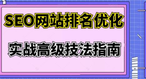 樊天华·SEO网站排名优化实战高级技法指南，让客户找到你-天天项目库