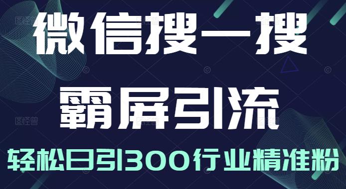 微信搜一搜霸屏引流课，打造被动精准引流系统，轻松日引300行业精准粉-天天项目库