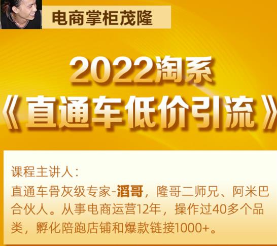 茂隆2022直通车低价引流玩法，教大家如何低投入高回报的直通车玩法-天天项目库