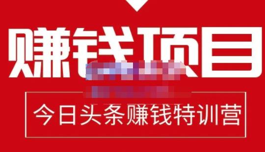 懒人领域·今日头条项目玩法，头条中视频项目，单号收益在50—500可批量-天天项目库