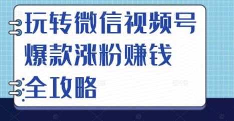 玩转微信视频号爆款涨粉赚钱全攻略，让你快速抓住流量风口，收获红利财富-天天项目库