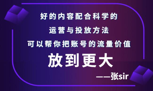 张sir账号流量增长课，告别海王流量，让你的流量更精准-天天项目库