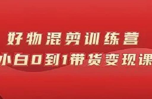 万三好物混剪训练营：小白0到1带货变现课-天天项目库