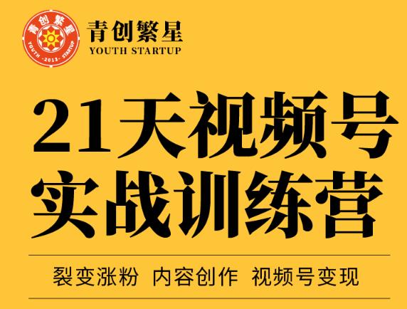 张萌21天视频号实战训练营，裂变涨粉、内容创作、视频号变现 价值298元-天天项目库