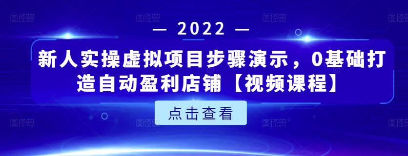 新人实操虚拟项目步骤演示，0基础打造自动盈利店铺【视频课程】-天天项目库