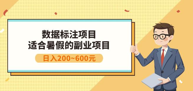 副业赚钱：人工智能数据标注项目，简单易上手，小白也能日入200+-天天项目库