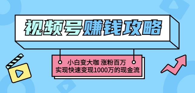 玩转微信视频号赚钱：小白变大咖涨粉百万实现快速变现1000万的现金流-天天项目库