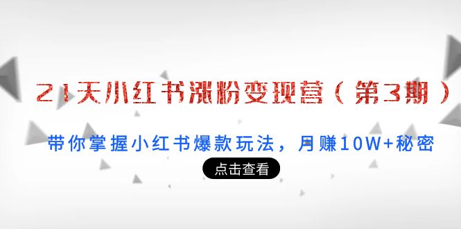 21天小红书涨粉变现营（第3期）：带你掌握小红书爆款玩法，月赚10W+秘密-天天项目库