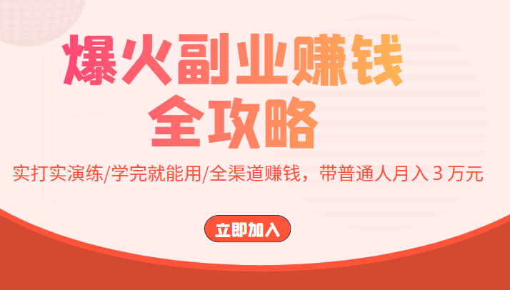 爆火副业赚钱全攻略：实打实演练/学完就能用/全渠道赚钱，带普通人月入３万元-天天项目库