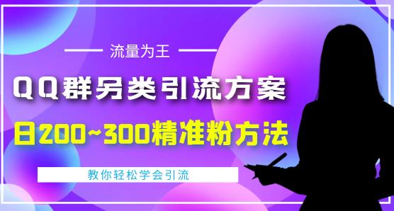 价值888的QQ群另类引流方案，半自动操作日200~300精准粉方法【视频教程】-天天项目库