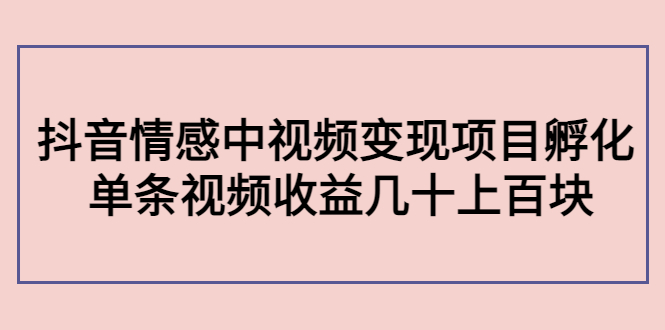 副业孵化营第5期：抖音情感中视频变现项目孵化 单条视频收益几十上百-天天项目库