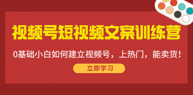 视频号短视频文案训练营：0基础小白如何建立视频号，上热门，能卖货！-天天项目库