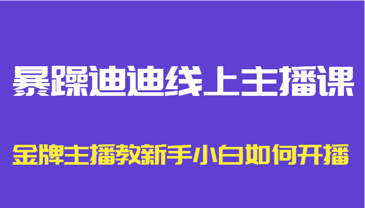 暴躁迪迪线上主播课，金牌主播教新手小白如何开播-天天项目库