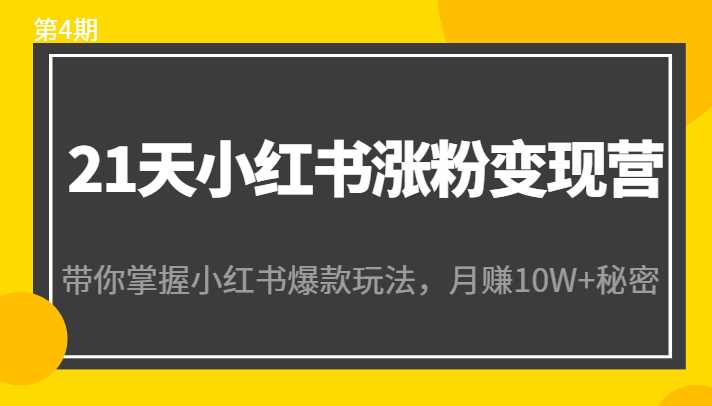 21天小红书涨粉变现营（第4期）：带你掌握小红书爆款玩法，月赚10W+秘密-天天项目库