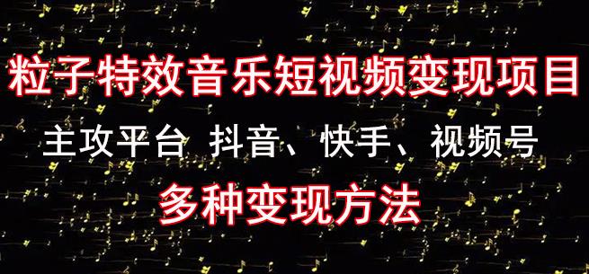 黄岛主《粒子特效音乐短视频变现项目》主攻平台抖音、快手、视频号多种变现方法-天天项目库