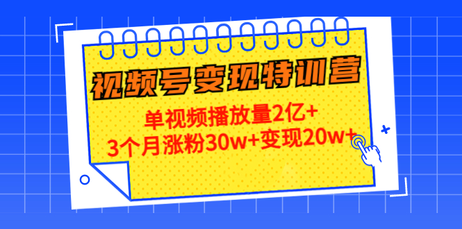 21天视频号变现特训营：单视频播放量2亿+3个月涨粉30w+变现20w+（第14期）-天天项目库