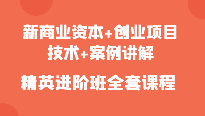 新商业资本+创业项目，技术+案例讲解，精英进阶班全套课程-天天项目库