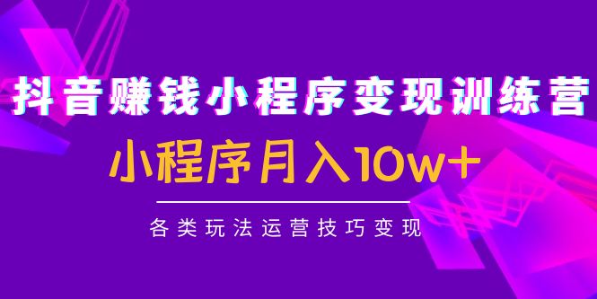 抖音赚钱小程序变现训练营：小程序月入10w+各类玩法运营技巧变现-天天项目库