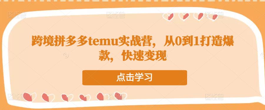 跨境拼多多temu实战营，从0到1打造爆款，快速变现-天天项目库