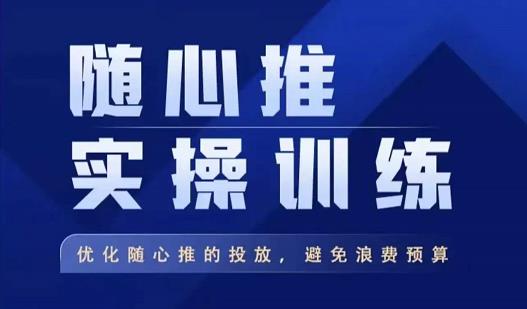 飞哥·随心推实操训练，优化随心推投放，避免浪费预算-天天项目库