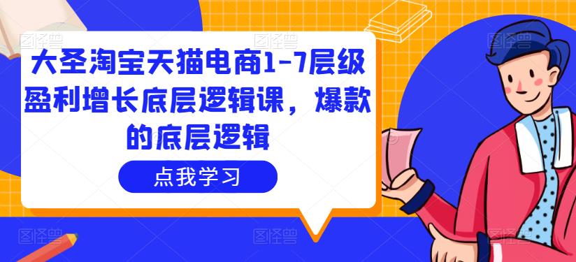 大圣淘宝天猫电商1-7层级盈利增长底层逻辑课，爆款的底层逻辑-天天项目库