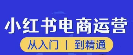 顽石小红书电商高阶运营课程，从入门到精通，玩法流程持续更新-天天项目库