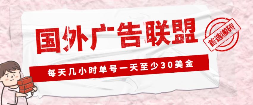 外面收费1980的最新国外LEAD广告联盟搬砖项目，单号一天至少30美金【详细玩法教程】-天天项目库