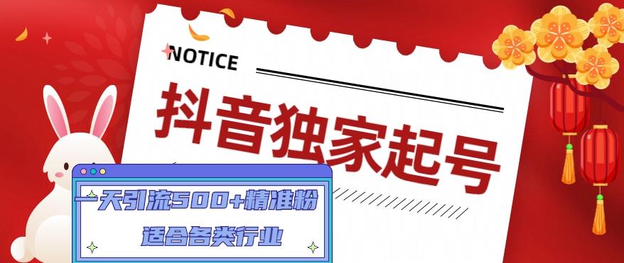 抖音独家起号，一天引流500+精准粉，适合各类行业（9节视频课）-天天项目库