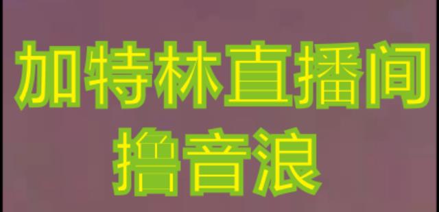 抖音加特林直播间搭建技术，抖音0粉开播，暴力撸音浪，2023新口子，每天800+【素材+详细教程】-天天项目库