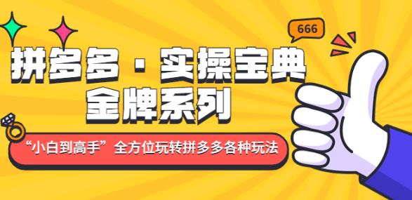 拼多多·实操宝典：金牌系列“小白到高手”带你全方位玩转拼多多各种玩法-天天项目库